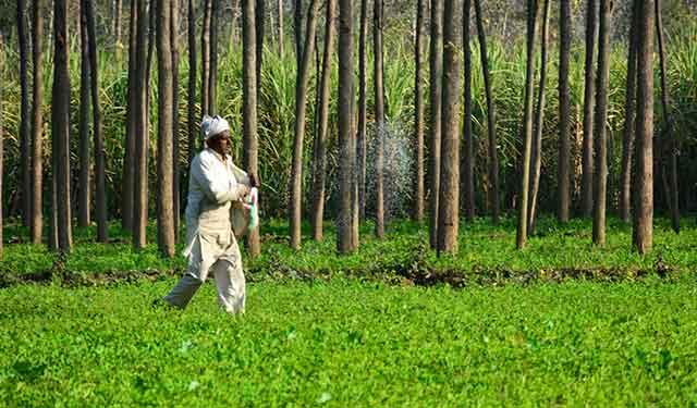 Talcher fertiliser plant faces further delay