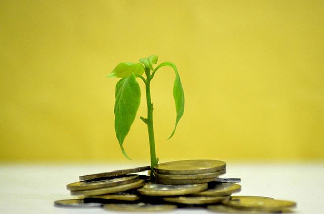 Nova IVI Fertility in talks for fresh PE funding; early investor likely to exit
