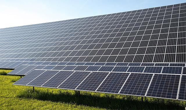 Two suitors left as race narrows for TPG's stake in green energy firm