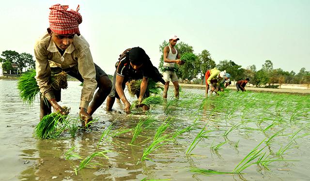 Accel Partners leads $10 mn Series B round in AgroStar