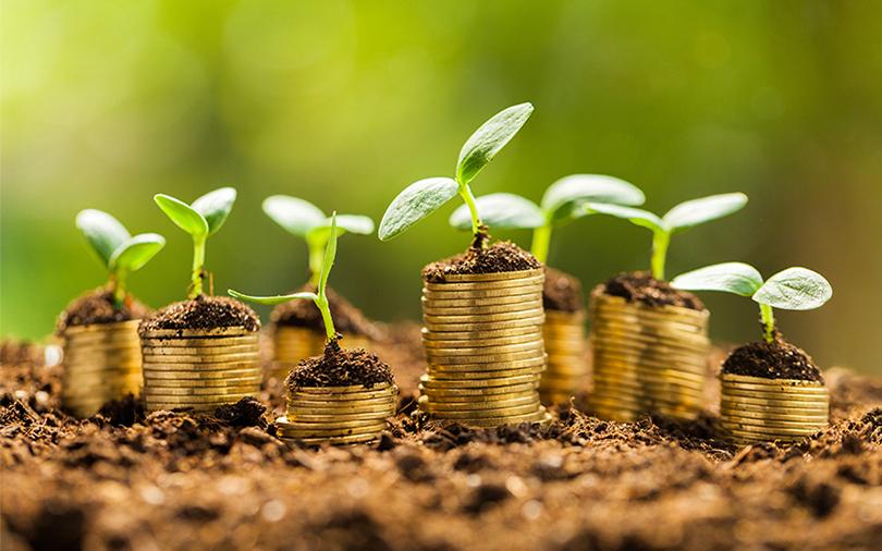 Fund Scan: Kalaari seeding more startups but blockbuster harvests still a far cry