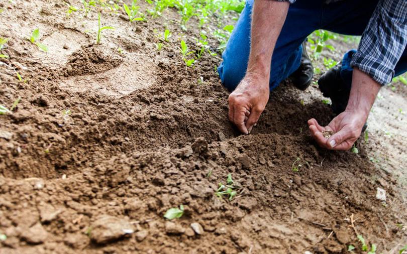 Agri-tech startup CropIn raises pre-Series A funding