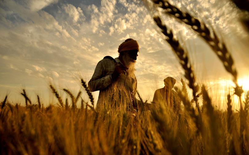 Farmers' insurer Kshema gets $20 mn from Green Climate Fund