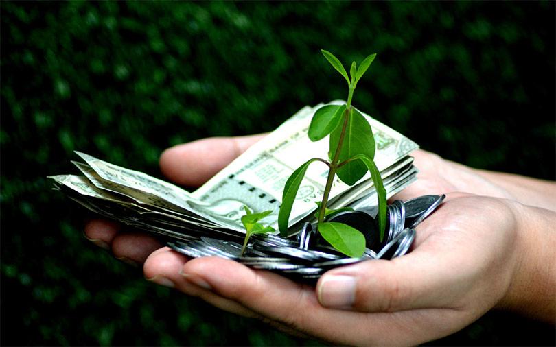 Mead maker Moonshine secures seed funding