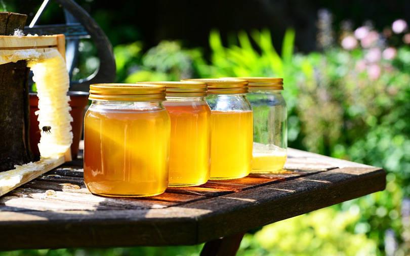 Fireside Ventures leads funding round in food brand Kapiva Ayurveda