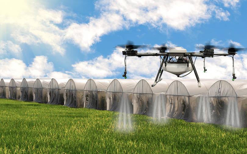 Nabard steps up LP bets, adds sector-agnostic fund to portfolio