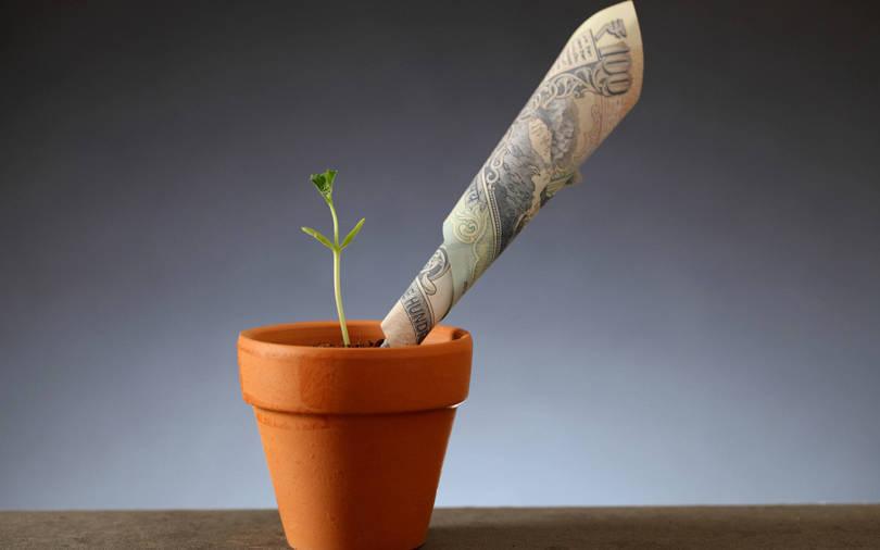 Arali Ventures backs startup founded by former Aavishkaar exec