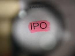 Lemon Tree Hotels' IPO scrapes through on institutional support