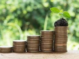 Baring PE India revives venture-stage deals after nearly a decade