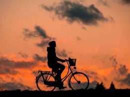 Sequoia and Accel-backed Bounce buys Ofo India's assets