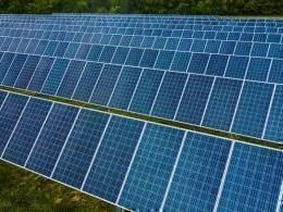 South Africa's Phelan Energy Group in talks with investors to sell India portfolio