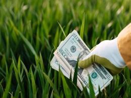 MENA Digest: Agritech startups iyris, YoLa Fresh bag big cheques