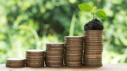 SaaS platform Lucidity raises fresh seed funding